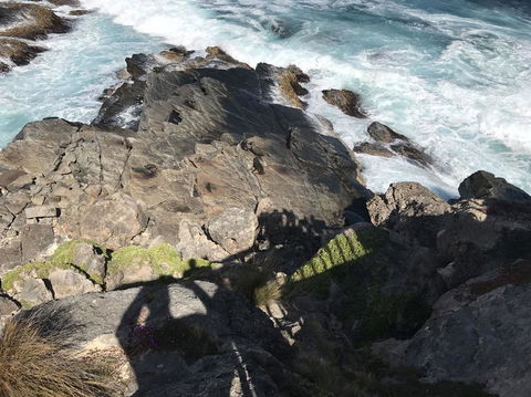 Kangaroo Island In A Day Tour From Adelaide - Accommodation in Surfers Paradise 3