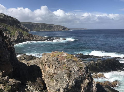 Kangaroo Island In A Day Tour From Adelaide - Accommodation in Surfers Paradise 4