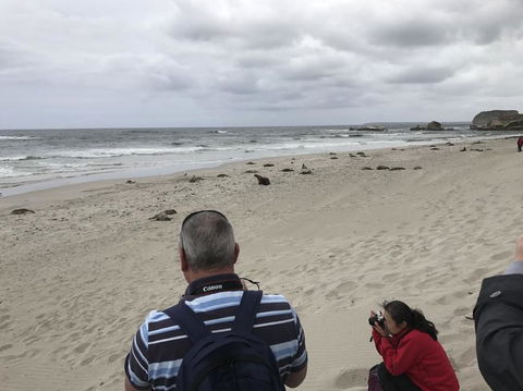 Kangaroo Island In A Day Tour From Adelaide - Accommodation in Surfers Paradise 10