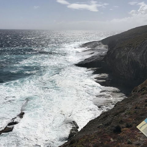 Kangaroo Island In A Day Tour From Adelaide - Accommodation in Surfers Paradise 6