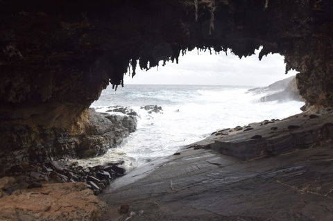 Kangaroo Island In A Day Tour From Adelaide - Accommodation in Surfers Paradise 18