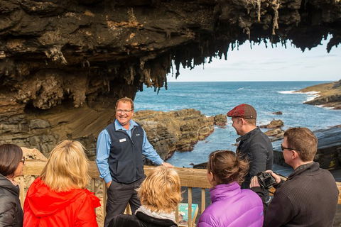 Kangaroo Island In A Day Tour From Adelaide - Accommodation in Surfers Paradise 28