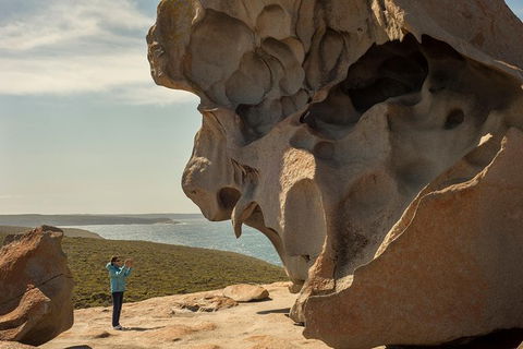 Kangaroo Island In A Day Tour From Adelaide - Accommodation in Surfers Paradise 30