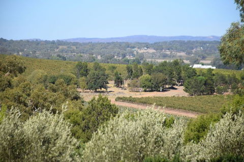 Barossa Valley Food And Wine Tour - Accommodation in Surfers Paradise 2