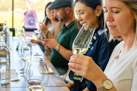 Barossa Valley Food And Wine Tour - Accommodation in Surfers Paradise 11