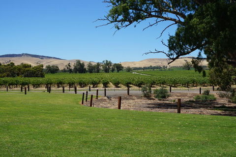 Barossa Valley With Hahndorf Tour From Adelaide - Accommodation in Surfers Paradise 3