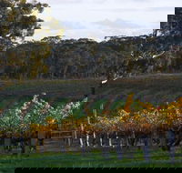 Barossa Valley with Hahndorf Tour from Adelaide - Accommodation in Surfers Paradise