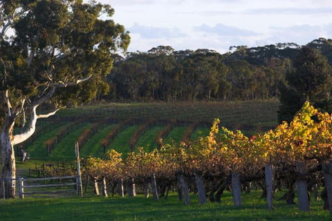 Barossa Valley With Hahndorf Tour From Adelaide - Accommodation in Surfers Paradise 0