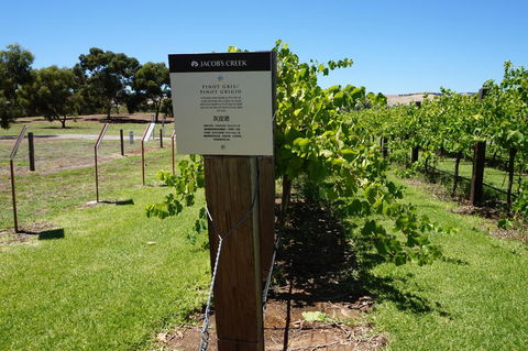 Barossa Valley With Hahndorf Tour From Adelaide - Accommodation in Surfers Paradise 5