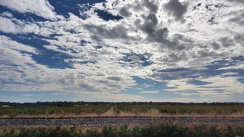 Barossa Valley Full-Day Tour From Adelaide With Maggie Beer Farm - Accommodation in Surfers Paradise 3