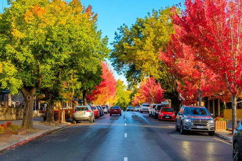 Barossa Valley Full-Day Tour From Adelaide With Maggie Beer Farm - Accommodation in Surfers Paradise 6