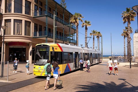 McLaren Vale And Glenelg Wine Tasting And Sightseeing (Half-day Afternoon) - Accommodation in Surfers Paradise 5