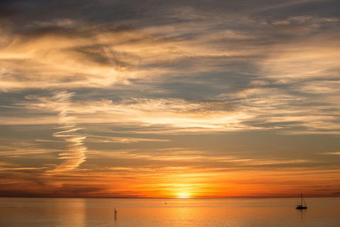 McLaren Vale And Glenelg Wine Tasting And Sightseeing (Half-day Afternoon) - Accommodation in Surfers Paradise 4