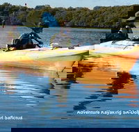 Adelaide Dolphin Sanctuary and Ships Graveyard Kayak Tour - Accommodation in Surfers Paradise