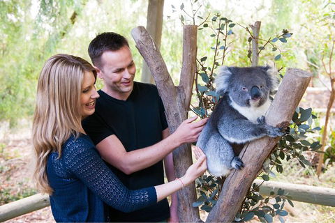 Adelaide Central Market With Cleland Wildlife Park And Mount Lofty Summit - Accommodation in Surfers Paradise 1