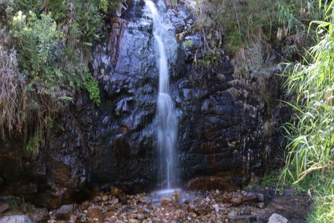 Self-Guided Waterfall Gully To Mount Lofty Hike From Adelaide - Accommodation in Surfers Paradise 2