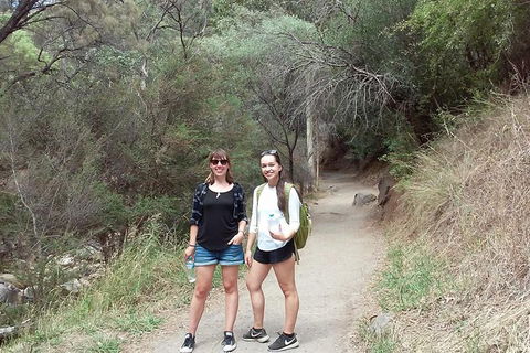Self-Guided Waterfall Gully To Mount Lofty Hike From Adelaide - Accommodation in Surfers Paradise 4