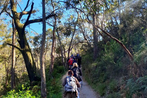 Self-Guided Waterfall Gully To Mount Lofty Hike From Adelaide - Accommodation in Surfers Paradise 7
