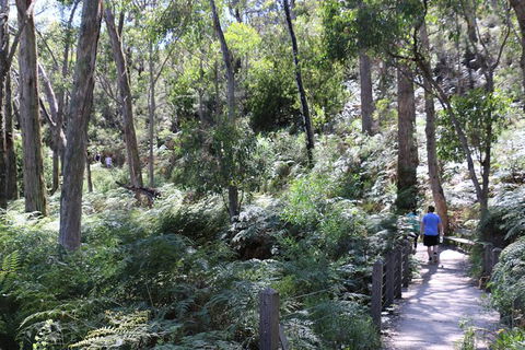 Self-Guided Waterfall Gully To Mount Lofty Hike From Adelaide - Accommodation in Surfers Paradise 3