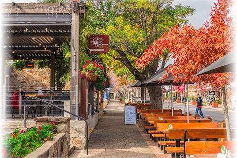 Barossa Valley Via Hahndorf ( Historical German Village ) Inc Maggie Beers Farm - Accommodation in Surfers Paradise 6
