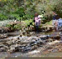 Small Group Bush Walk  BBQ with Wine Day Trip from Adelaide - Accommodation in Surfers Paradise