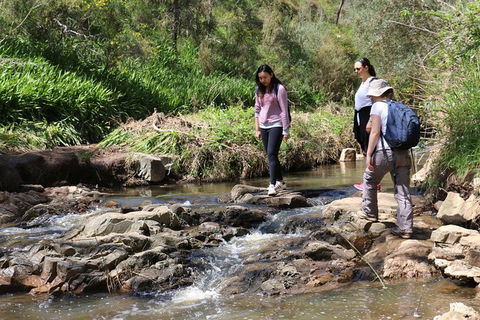 Small Group Bush Walk & BBQ With Wine Day Trip From Adelaide - Accommodation in Surfers Paradise 0