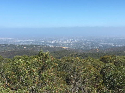 Adelaide Hills And Hahndorf Tour From Adelaide With Wine And Cheese Tasting - Accommodation in Surfers Paradise 8