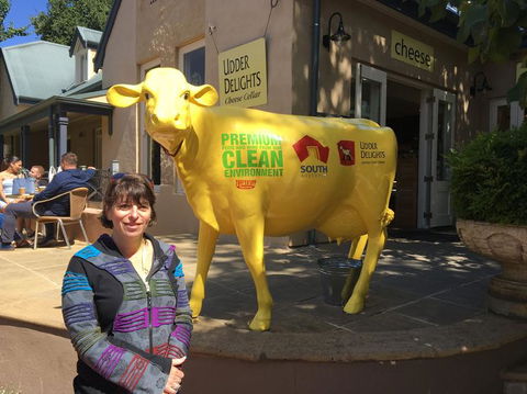 Adelaide Hills And Hahndorf Tour From Adelaide With Wine And Cheese Tasting - Accommodation in Surfers Paradise 2