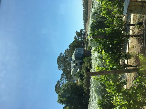 Adelaide Hills And Hahndorf Tour From Adelaide With Wine And Cheese Tasting - Accommodation in Surfers Paradise 7