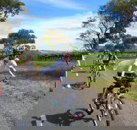 McLaren Vale Wine Tour by Bike - Accommodation in Surfers Paradise