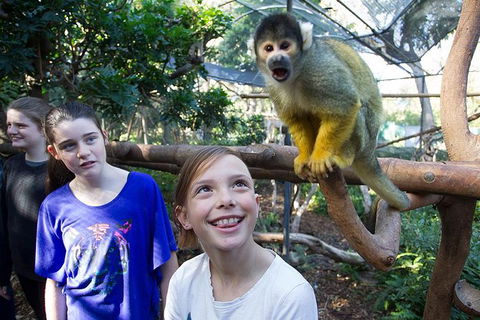 Adelaide Zoo Behind The Scenes Experience: Squirrel Monkey Feeding - Accommodation in Surfers Paradise 1