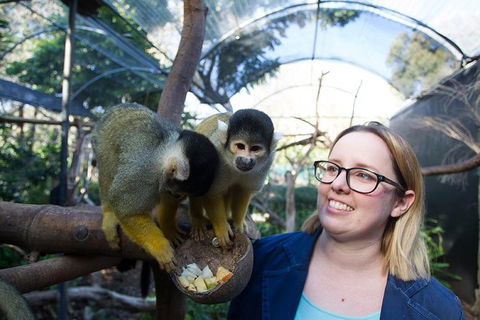 Adelaide Zoo Behind The Scenes Experience: Squirrel Monkey Feeding - Accommodation in Surfers Paradise 0