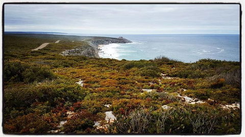 2-Day Kangaroo Island Adventure Tour From Adelaide - Accommodation in Surfers Paradise 4