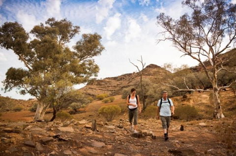 Flinders Ranges 3 Day 4WD Small Group Eco Tour From Adelaide - Accommodation in Surfers Paradise 0