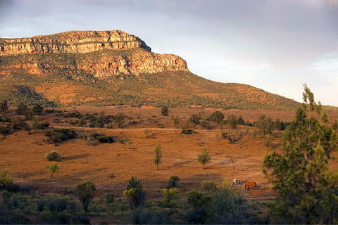 Flinders Ranges 3 Day 4WD Small Group Eco Tour From Adelaide - Accommodation in Surfers Paradise 8