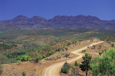 Flinders Ranges 3 Day 4WD Small Group Eco Tour From Adelaide - Accommodation in Surfers Paradise 9