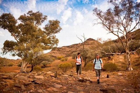 Flinders Ranges 3 Day 4WD Small Group Eco Tour From Adelaide - Accommodation in Surfers Paradise 3