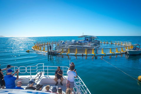 2 Hour Aquarium Tour - Accommodation in Surfers Paradise 0