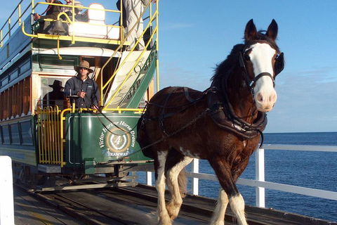 Full-Day Tour In South Australia Highlights - Accommodation in Surfers Paradise 0