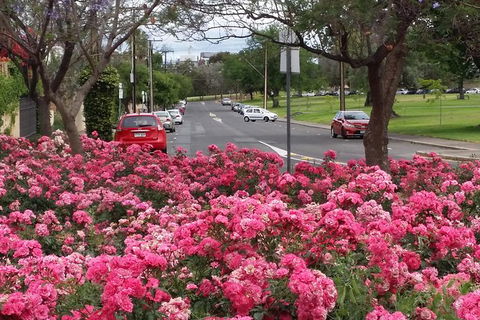 Adelaide Walking Tour: Hills, Squares And Parklands - Accommodation in Surfers Paradise 6