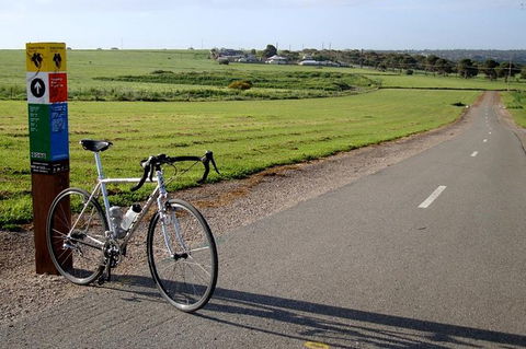 McLaren Vale Shiraz Trail Cycling Tour From Adelaide - Accommodation in Surfers Paradise 1