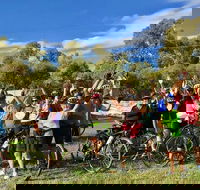 McLaren Vale Shiraz Trail Cycling Tour from Adelaide - Accommodation in Surfers Paradise