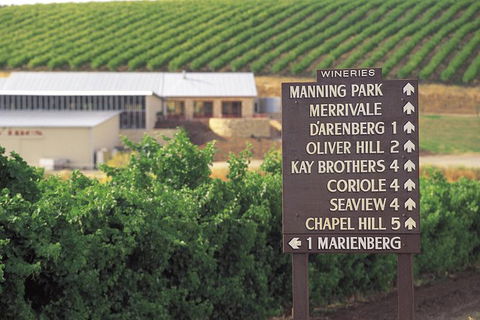 McLaren Vale Shiraz Trail Cycling Tour From Adelaide - Accommodation in Surfers Paradise 8
