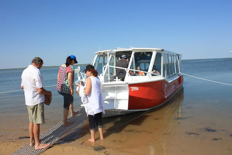 Coorong National Park Wildlife Cruise From Goolwa - Accommodation in Surfers Paradise 5