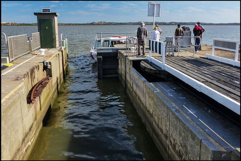 Coorong National Park Wildlife Cruise From Goolwa - Accommodation in Surfers Paradise 4