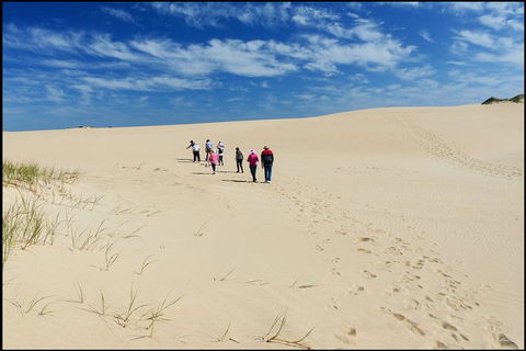 Coorong National Park Wildlife Cruise From Goolwa - Accommodation in Surfers Paradise 3