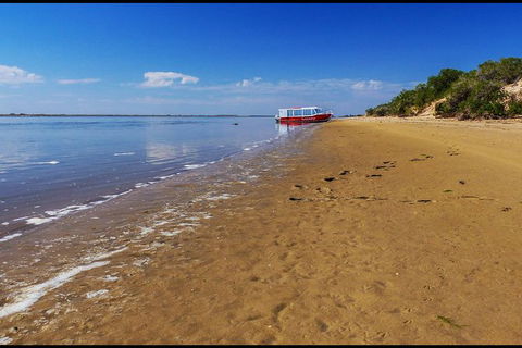 Coorong National Park Wildlife Cruise From Goolwa - Accommodation in Surfers Paradise 6