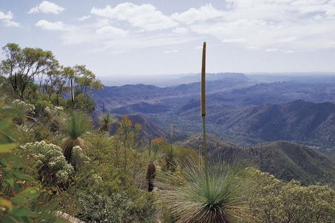 Flinders Ranges & Outback â€“ 3 Day Small Group Eco Safari - Accommodation in Surfers Paradise 1