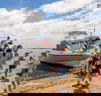 Coorong Discovery Cruise - Accommodation in Surfers Paradise