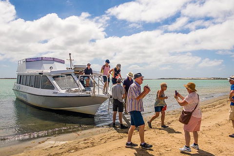 Coorong Discovery Cruise - Accommodation in Surfers Paradise 0